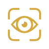 vision